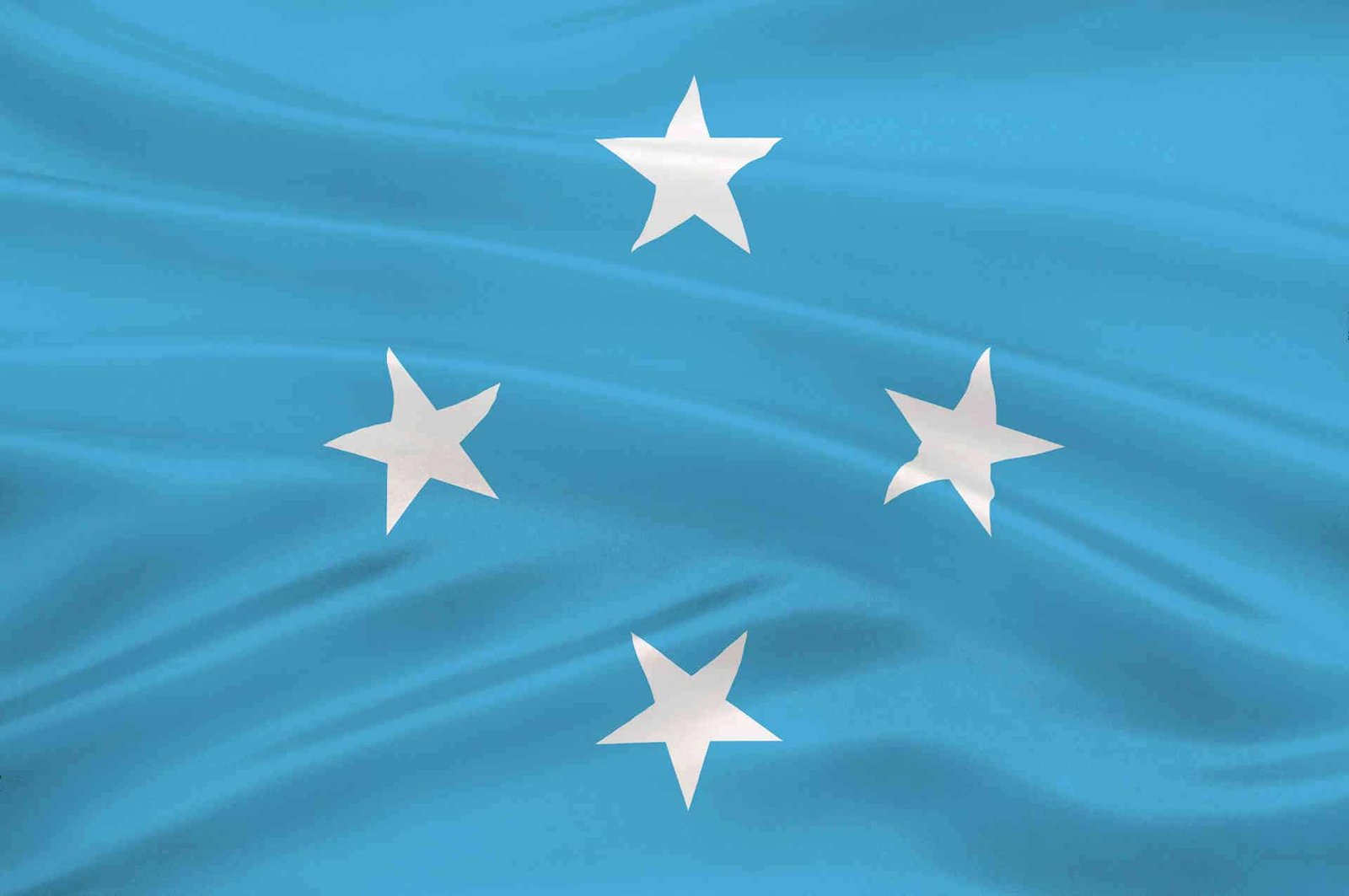 66859082 l normal none 1