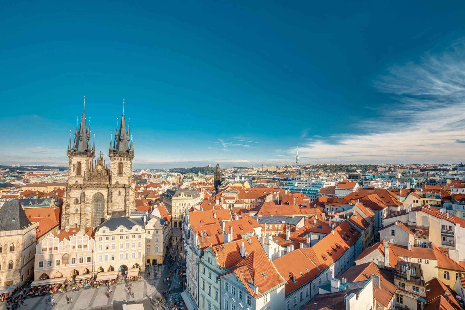 51657772 l normal none  1   1